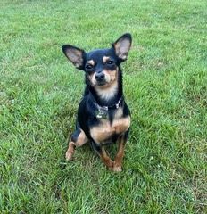 235764211_531094044767900_8409428426294681167_n