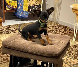 240008215_187236680027966_8784698237347468632_n