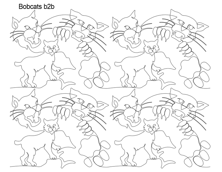 Bobcats b2b -2-