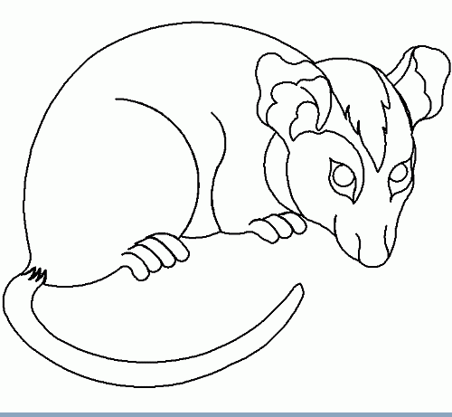 Screen shot 2013-01-09 at 1.31.32 PM.png